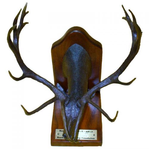 Allan Schwindt 'Boone & Crockett #1'