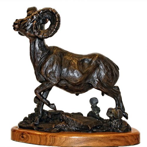 Ben France 'Desert Sonora'