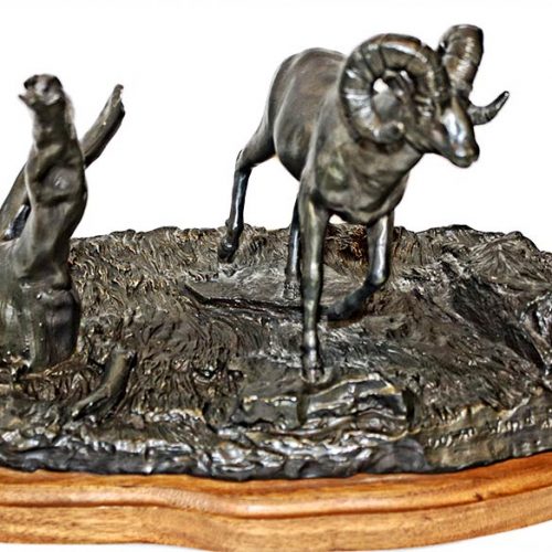 C. Wagner 'Down Wind Racer'