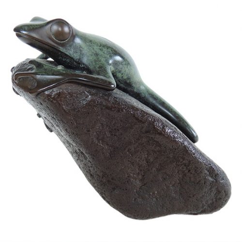 Phil Vanderlei 'Frog on Rock'