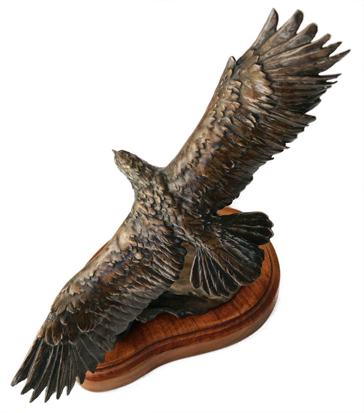 Stephen LeBlanc 'Flying High' Stephen LeBlanc 'Flying High'