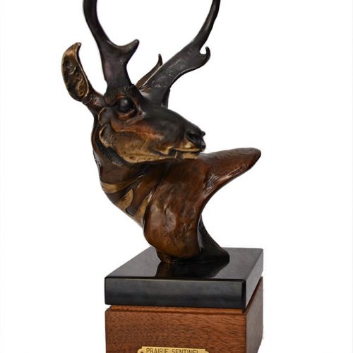 Sculpture Collector Selling a nicely done Vince Valdez bronze wildlife sculpture titled Prairie Sentinel