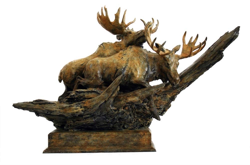 'Moose Through Deadfall' a bronze wildlife sculpture by Sherry Sander available from Sculpture Collector Sherry Sander 'Moose Through Deadfall'